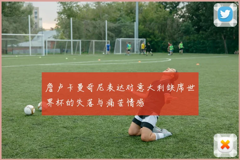 詹卢卡曼奇尼表达对意大利缺席世界杯的失落与痛苦情感