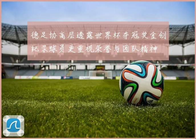 德足协高层透露世界杯夺冠奖金创纪录球员更重视荣誉与团队精神